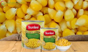 Thailand's Year-Round Sweet Corn Harvest: World's No. 1 Corn Exporter